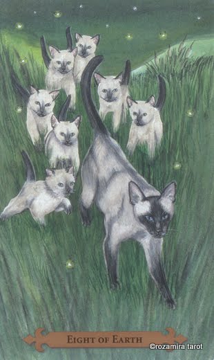 Mystical Cats Tarot